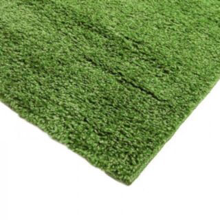 tapis casa shaggy vert photo ambiance